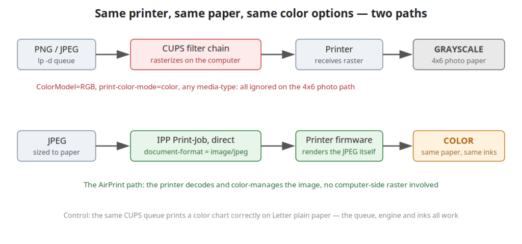Two print paths compared: through the CUPS filter chain the 4x6 photo job reaches the printer as grayscale raster; a direct IPP Print-Job carrying the JPEG lets the printer firmware render it in color.